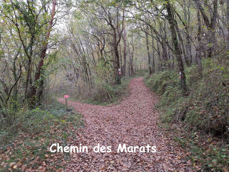 low-Chemin-des-Marats